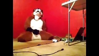 3452 anal porn videos